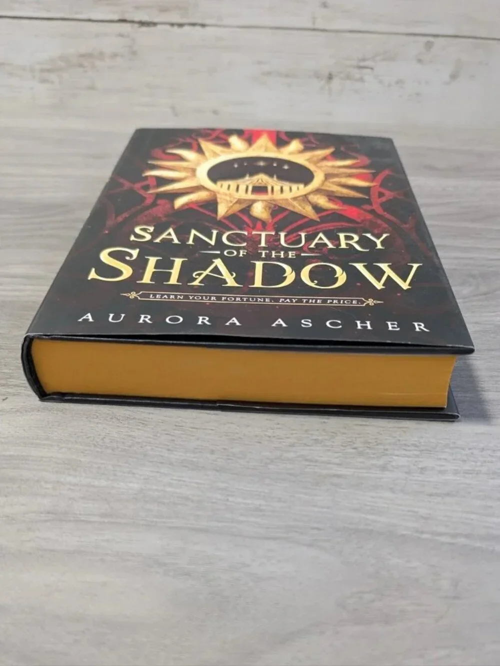 Sanctuary of the Shadow by Aurora Ascher